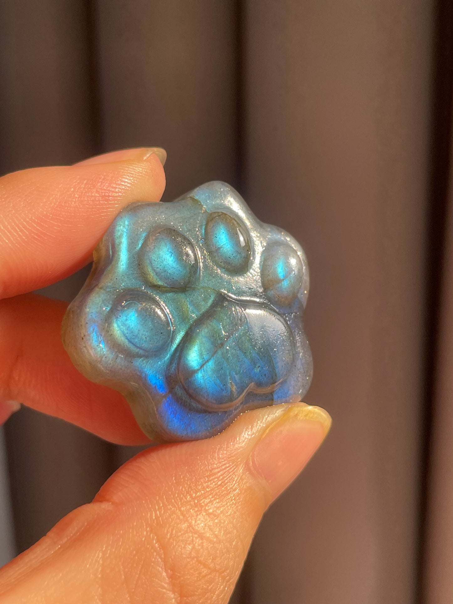 Lab paw