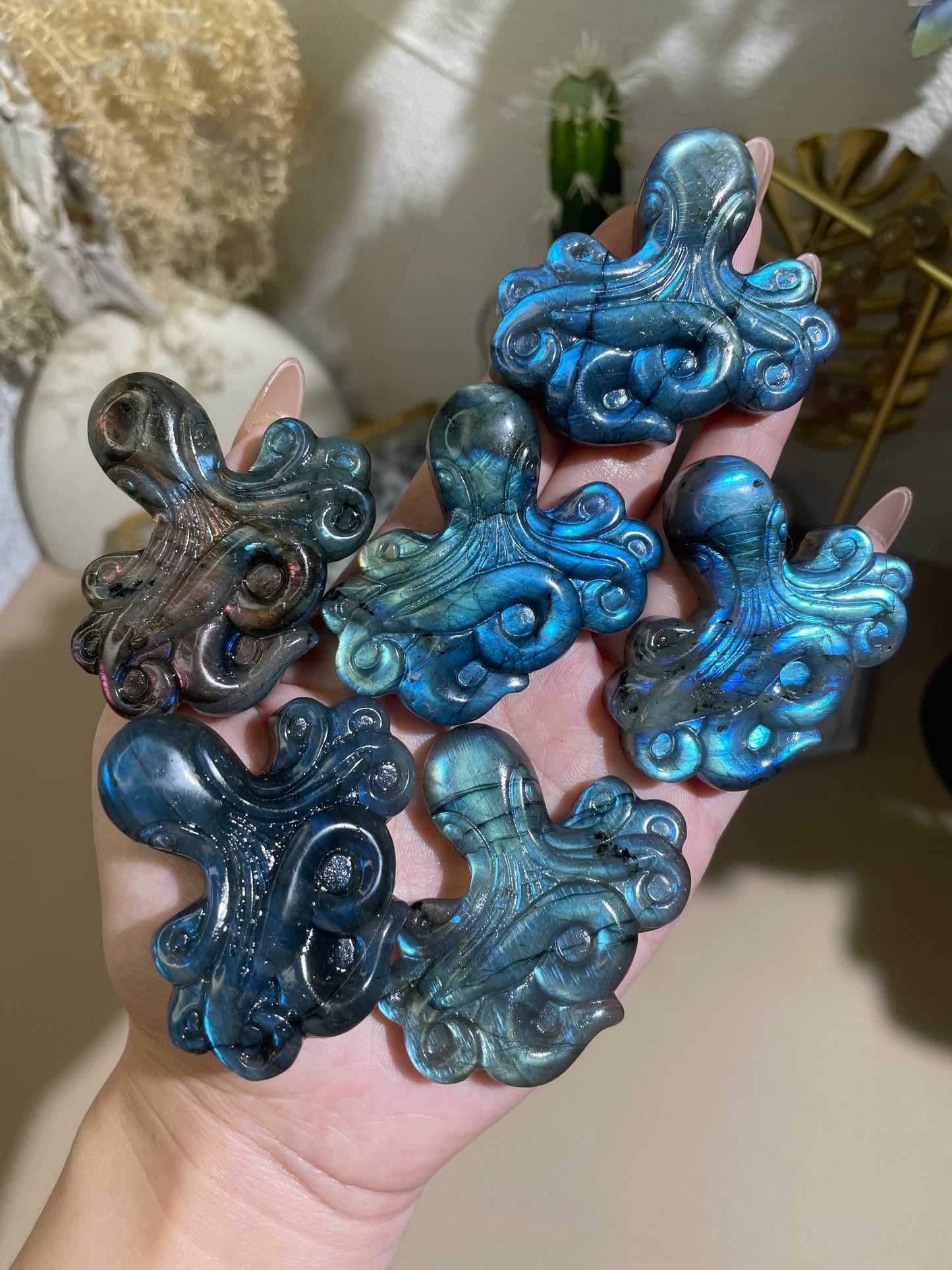 labradorite octopus