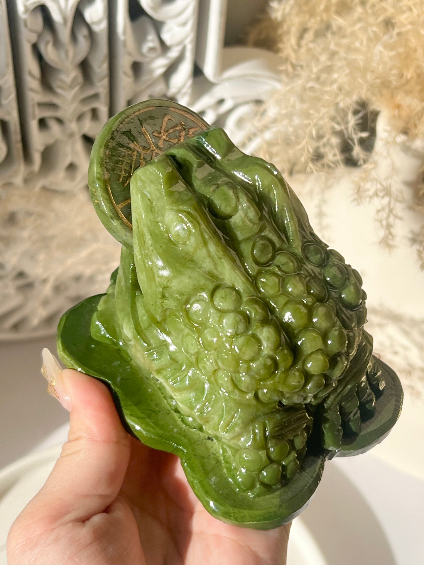 Green jade money frog