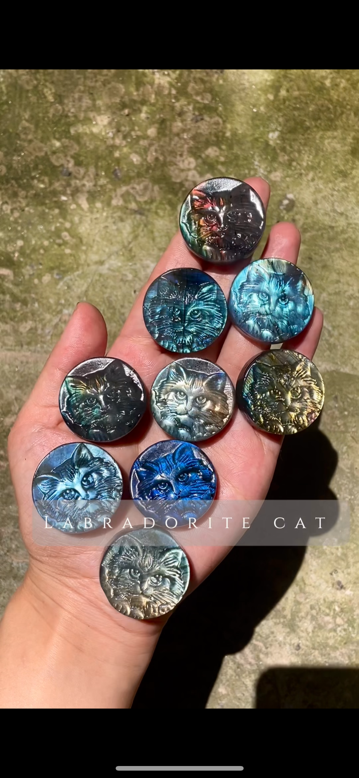Labradorite cat head