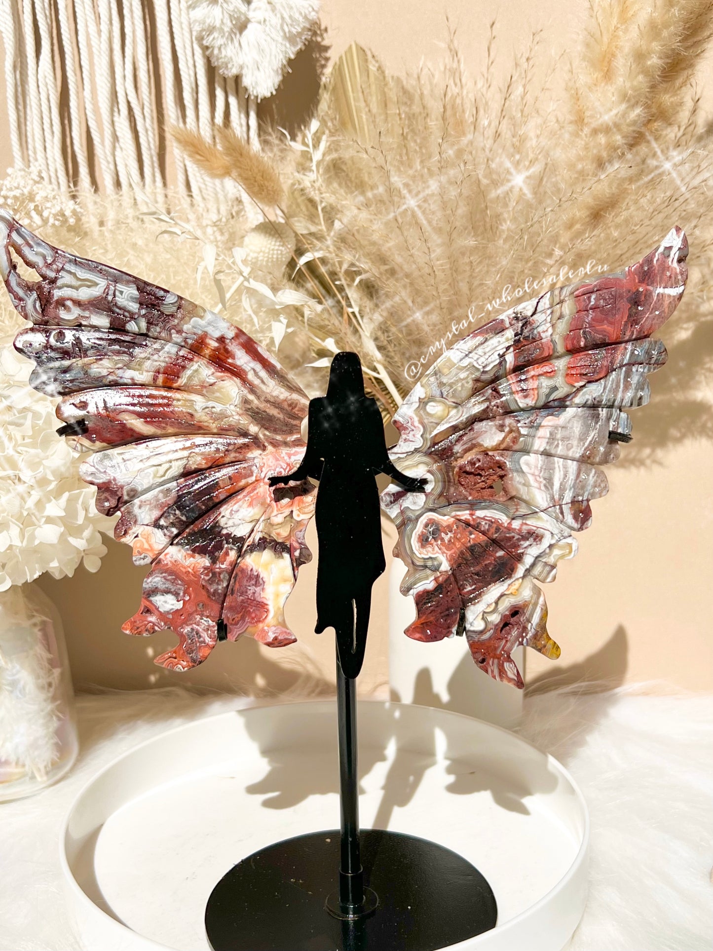 Mexican agate wings