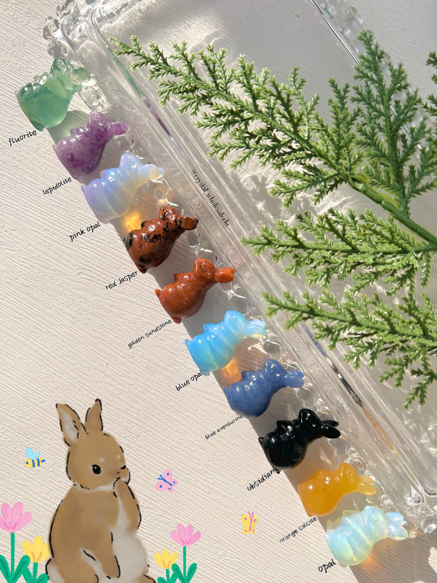 rabbit(random)