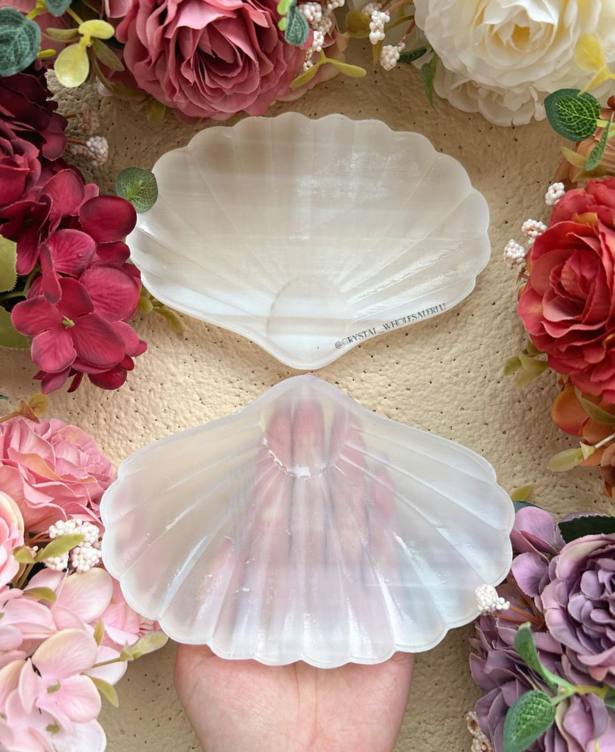 selenite shell plate