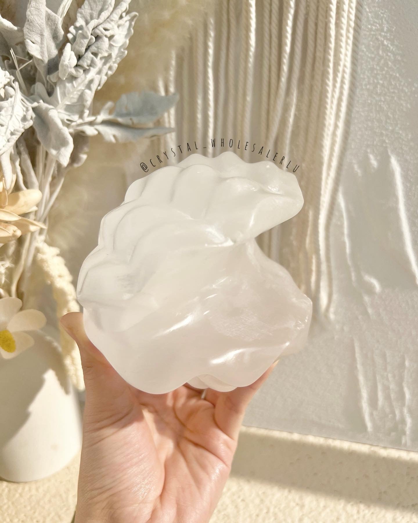 selenite shell