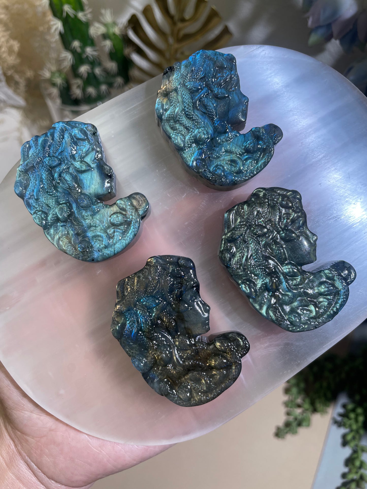 labradorite Medusa