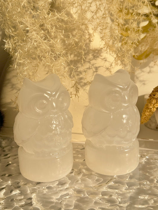 Selenite owl