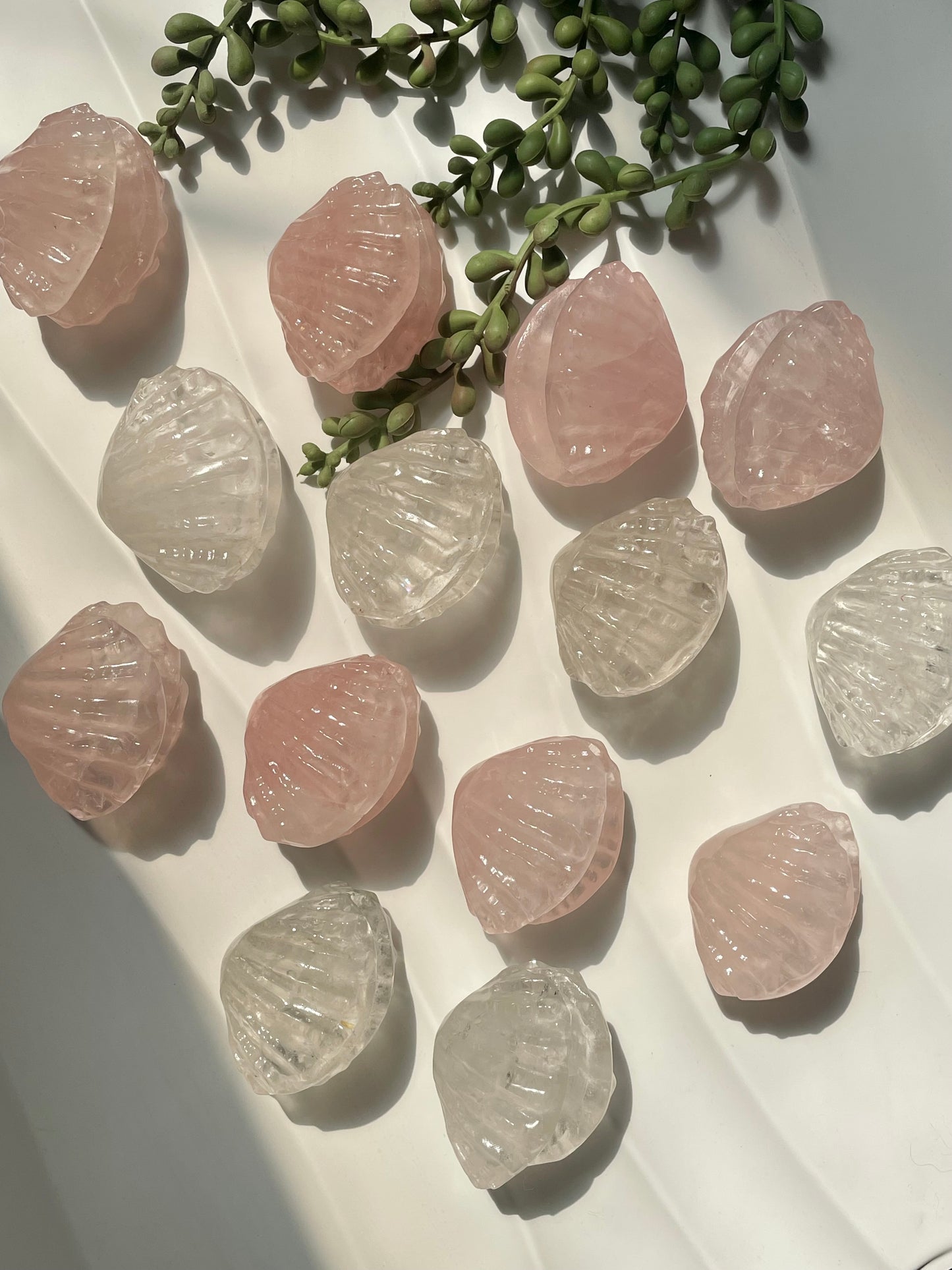 clear quartz and rose quartz shell