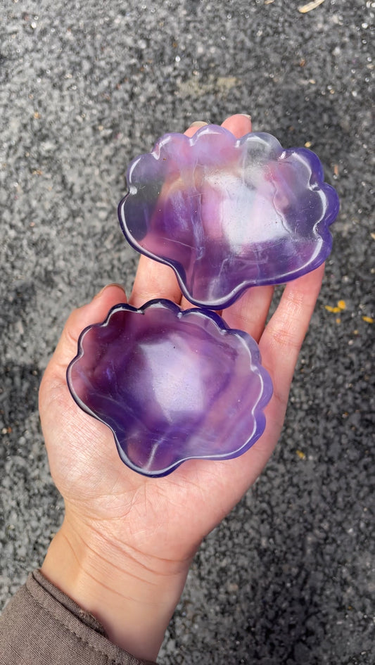 shell bowl