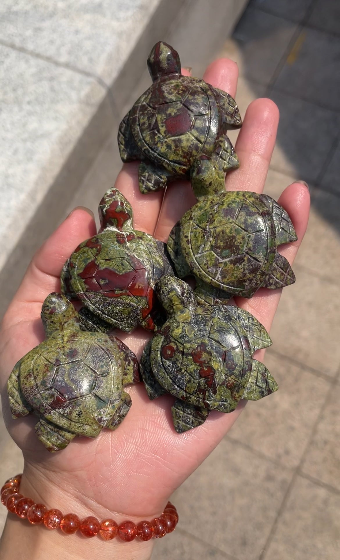 turtle