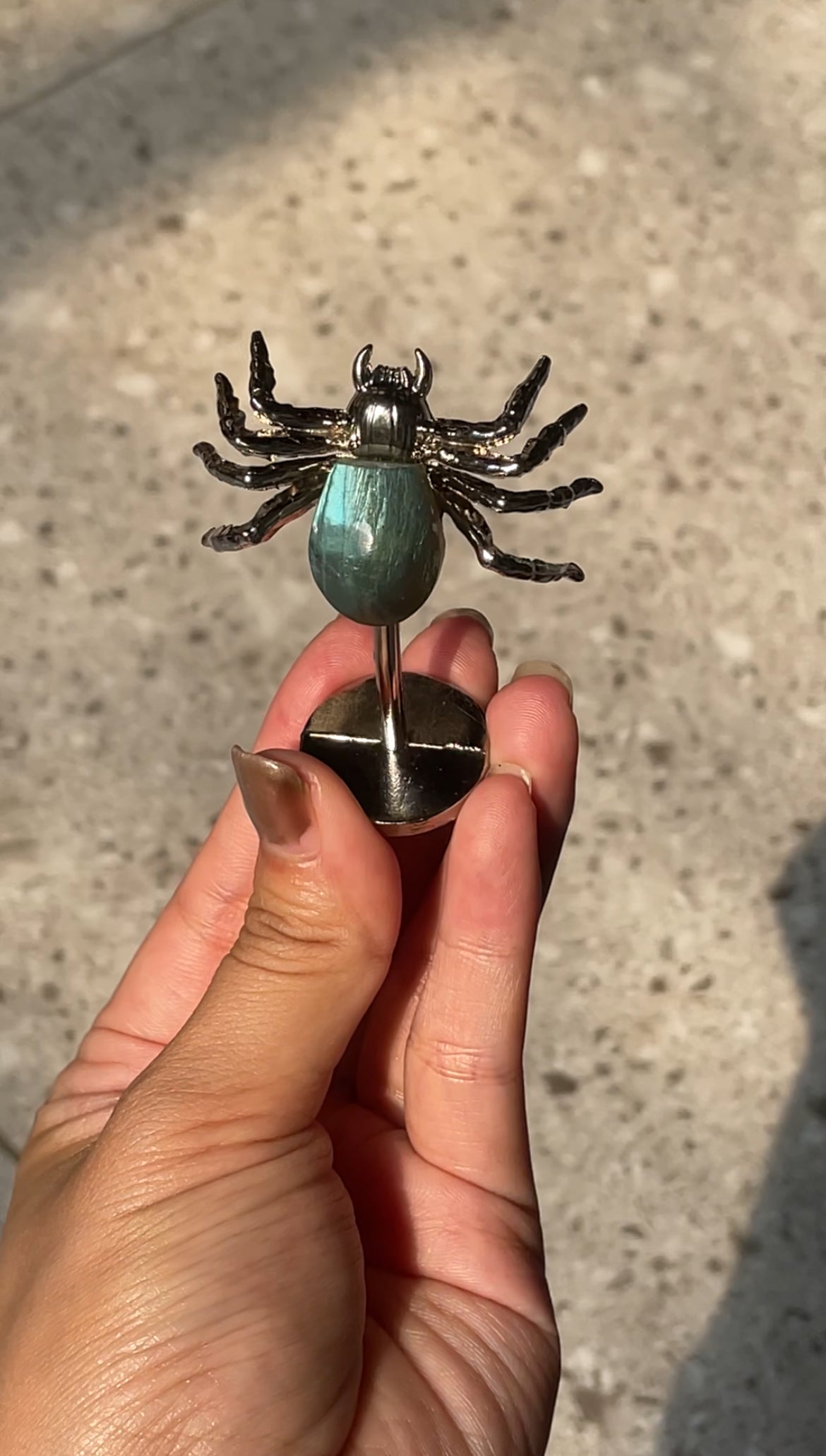 Labradorite spider