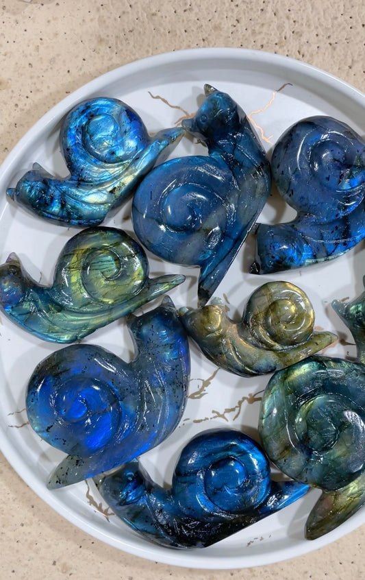 labradorite snail