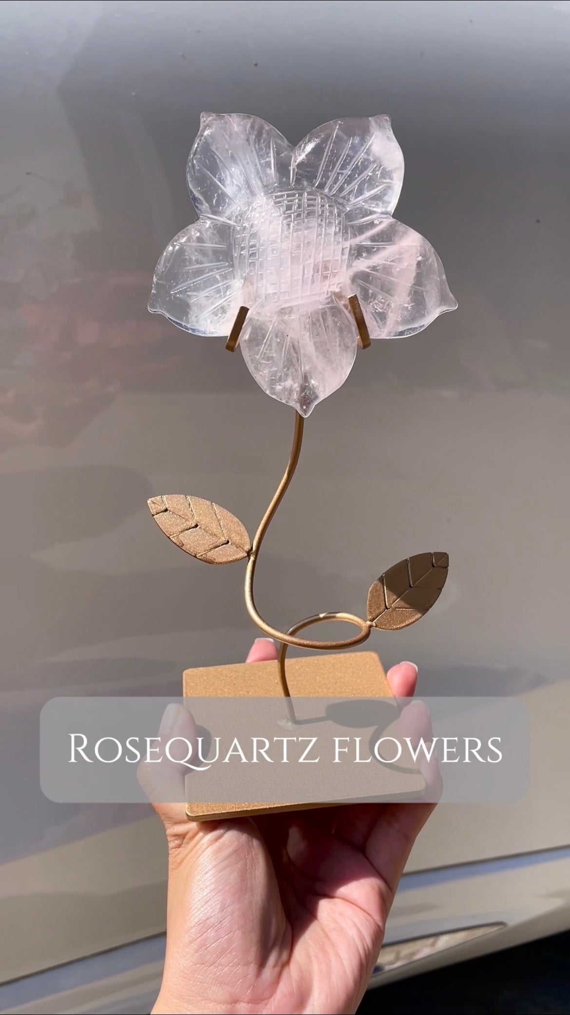 Rosequartz flower with stand