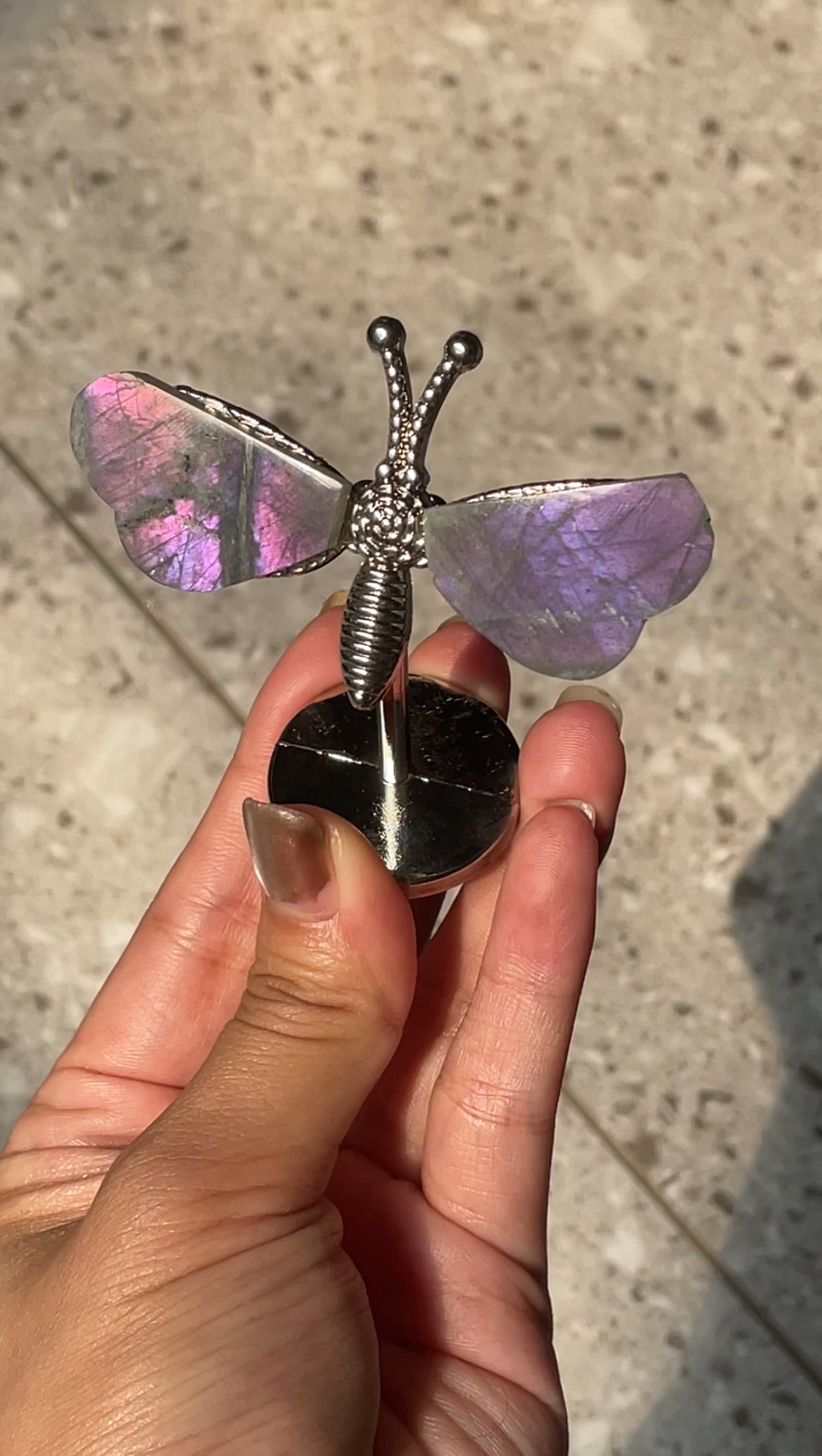 Labradorite dragonfly