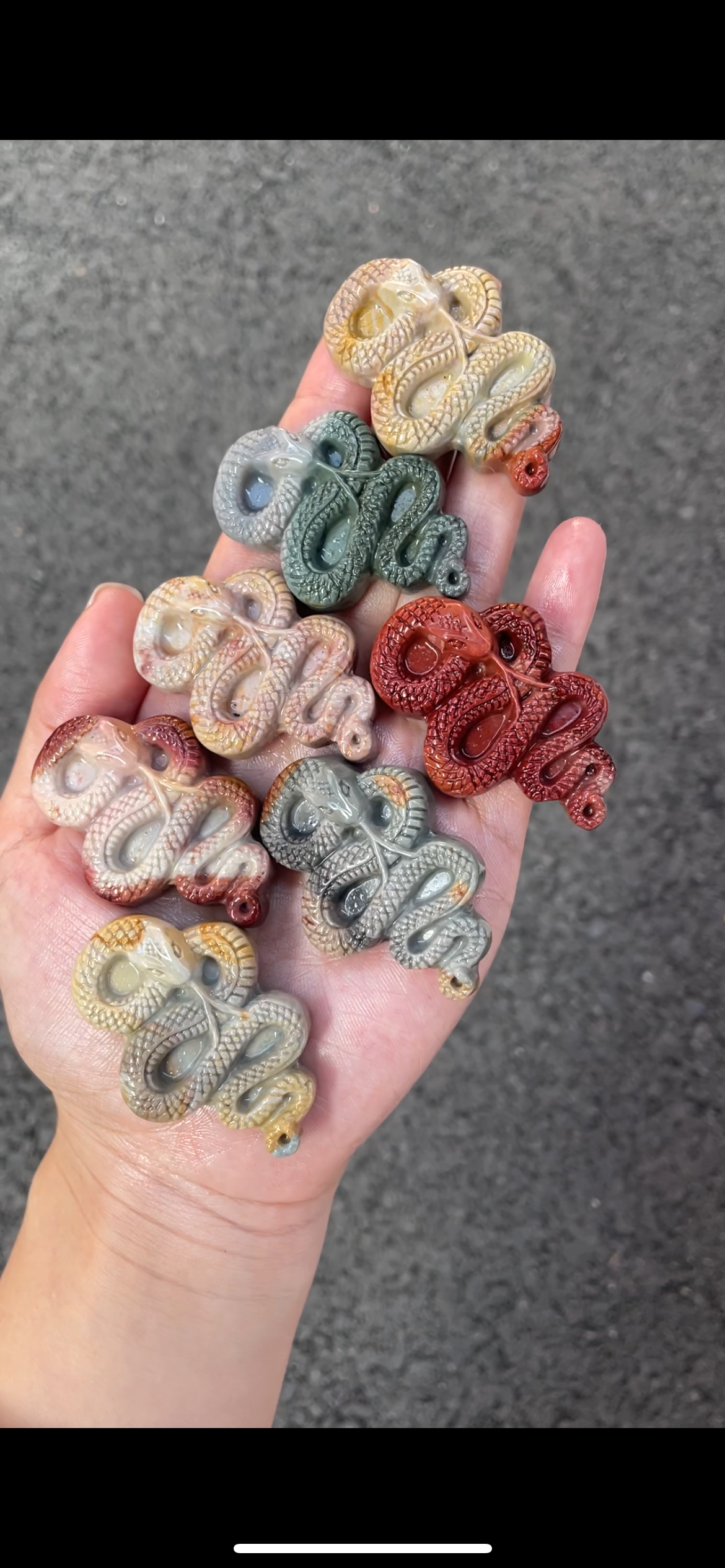 Alashan agate snake