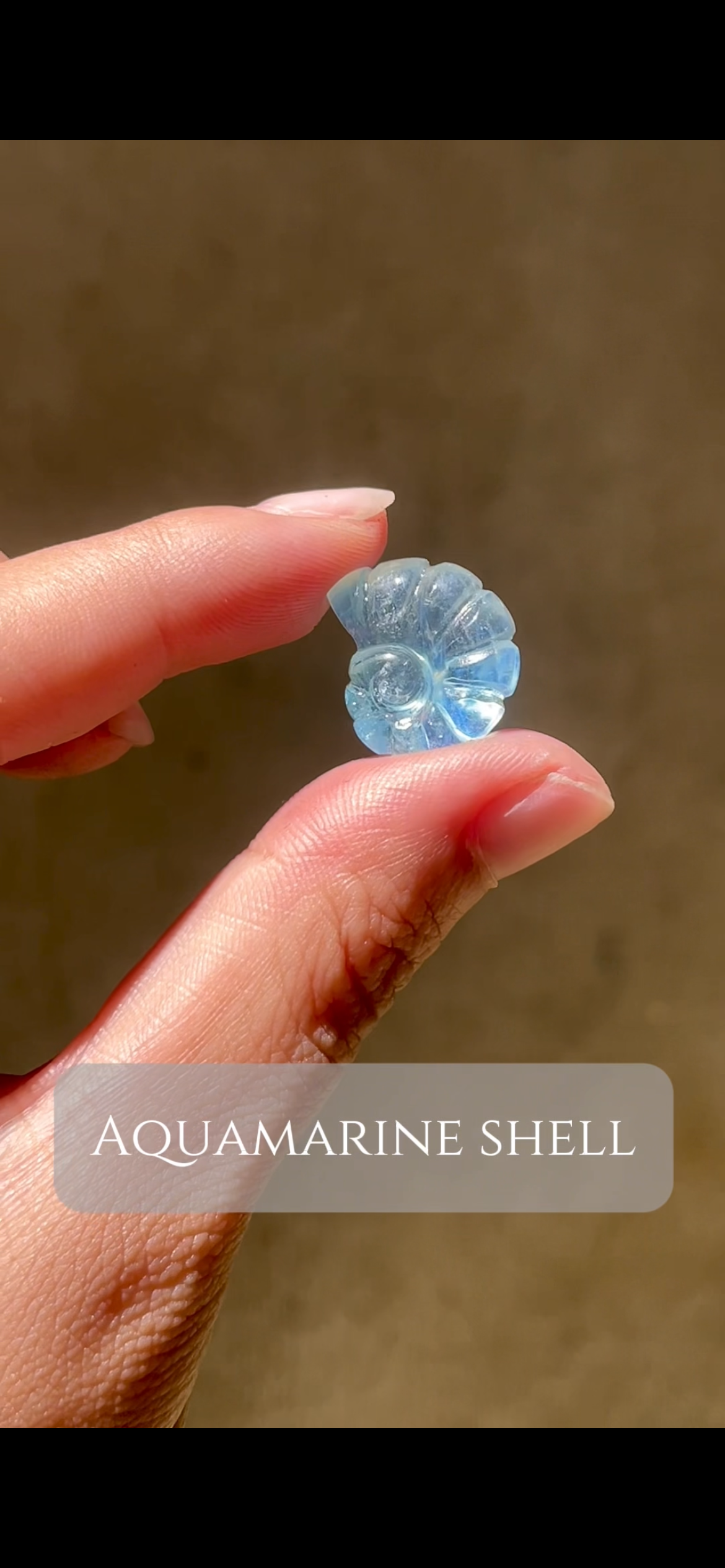 Aquamarine shell