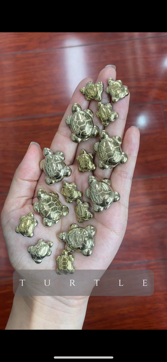 Pyrite turtle