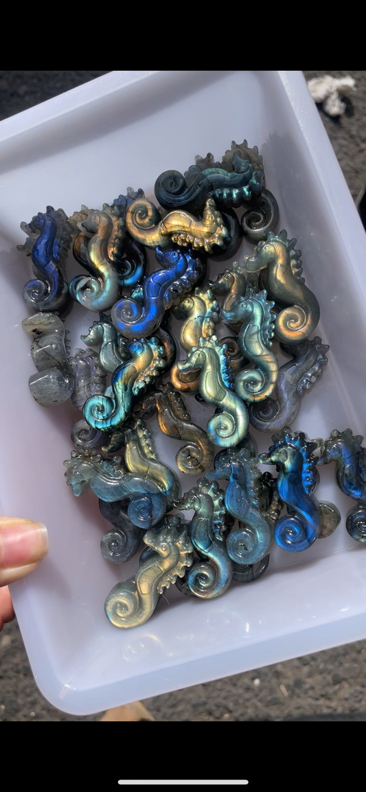 Labradorite seahorse