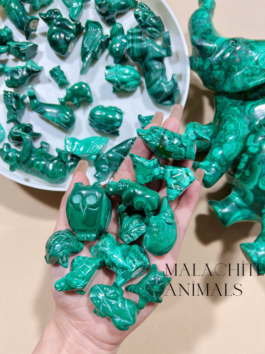 malachite animals