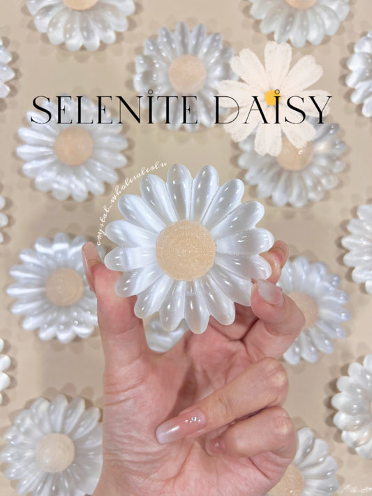 Selenite daisy