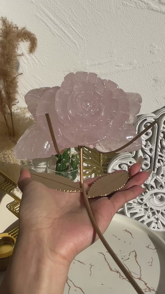 roses with leaf stand