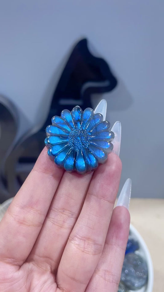 labradorite daisy