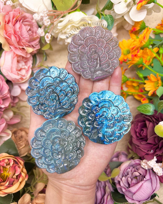 labradorite peacock
