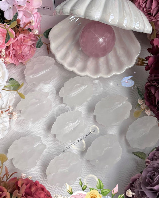 selenite shell