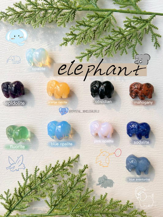 elephant
