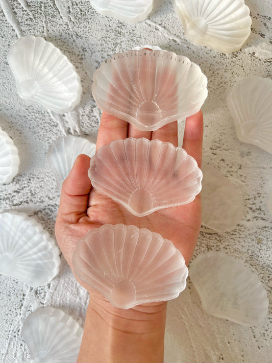 selenite shell plate small