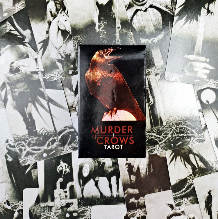 murder of crows