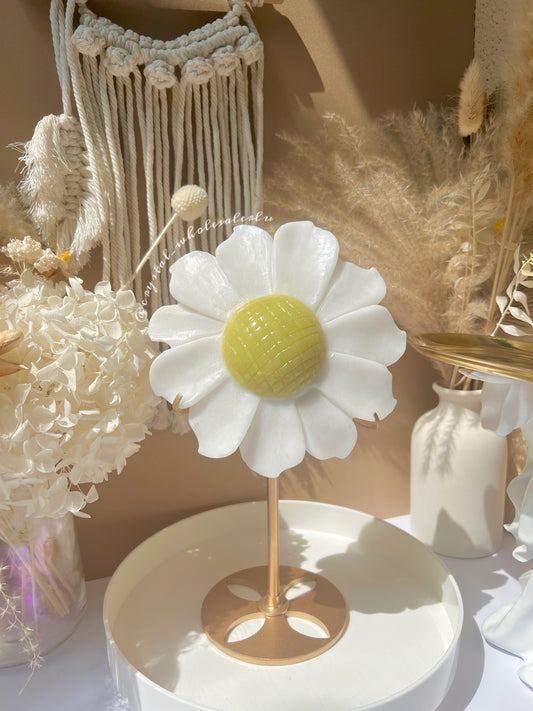 Daisies with stand